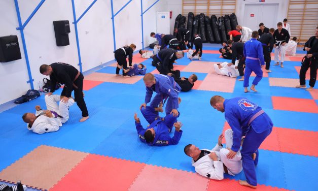 DSTV: jótékony Fox SE