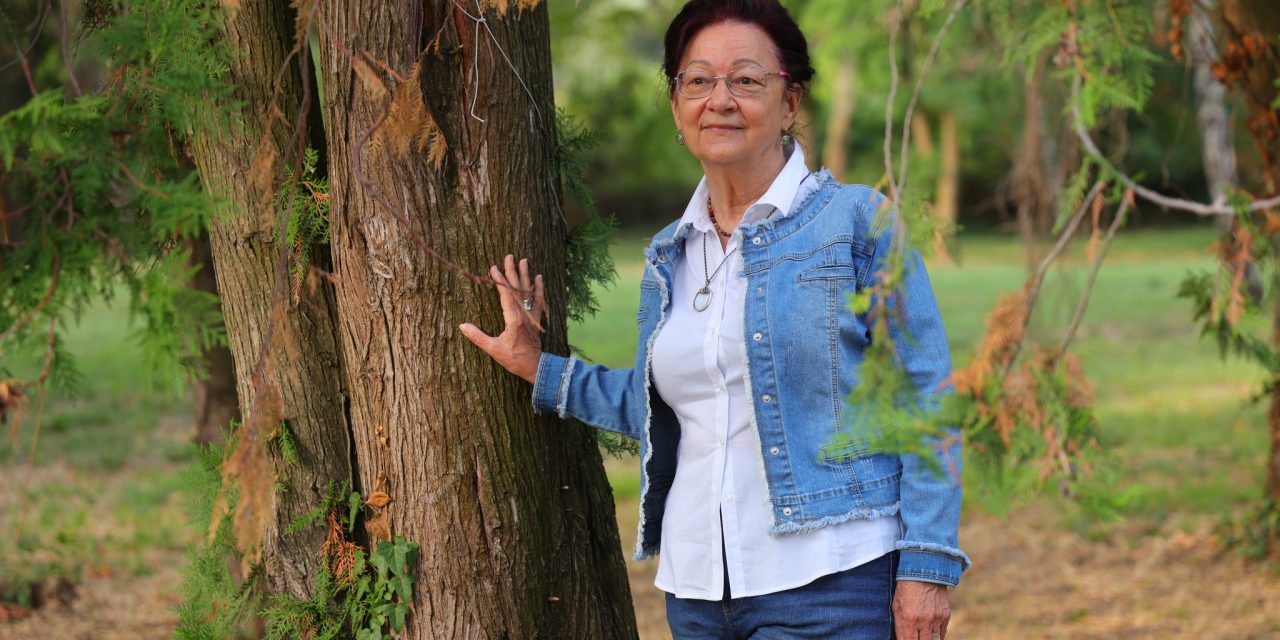 Az őszi ciklussal folytatódik a fotópályázat