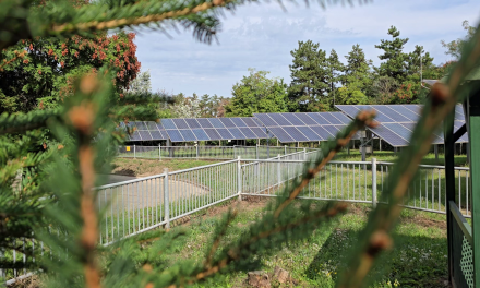 Napelemes rendszerek a város szolgálatában