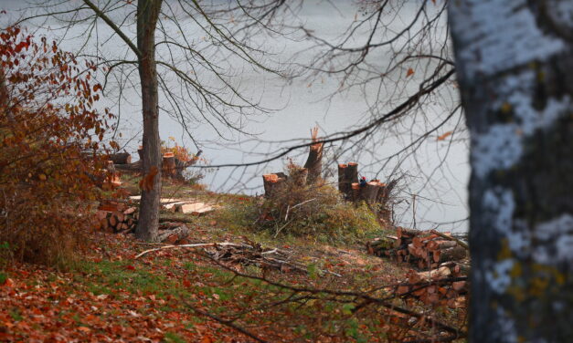 Fontos munkák zajlanak a Szalki-szigeten