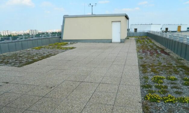 Izgalmas fejlesztés valósul meg a LIFE SeedNEB projekt keretében